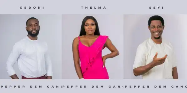 BBNaija: Nigerians Express Shock Over Choice Of Housemates